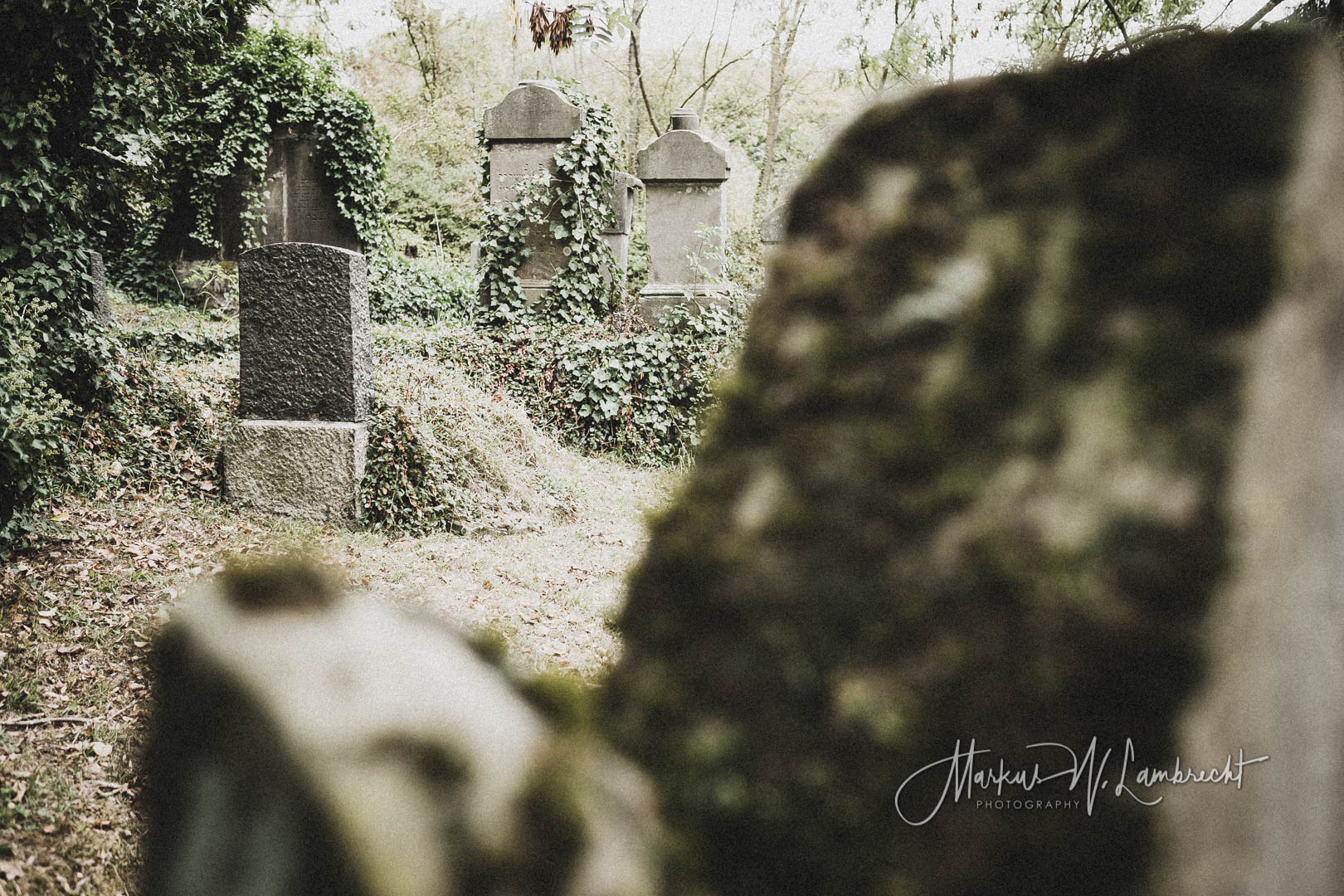 Rimbeck, Jüdischer Friedhof